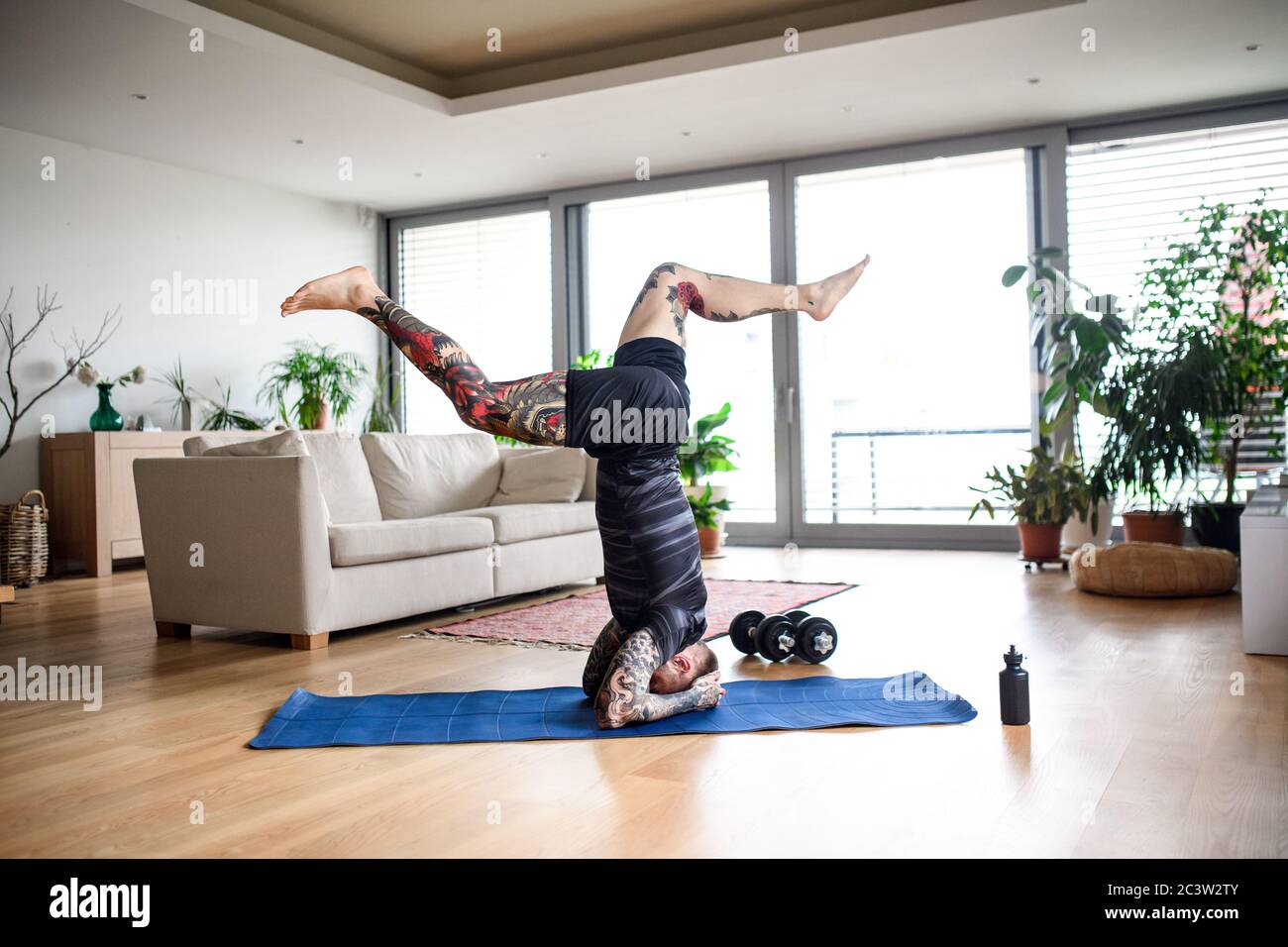 Junger Mann macht Training drinnen zu Hause, Kopfstand. Stockfoto