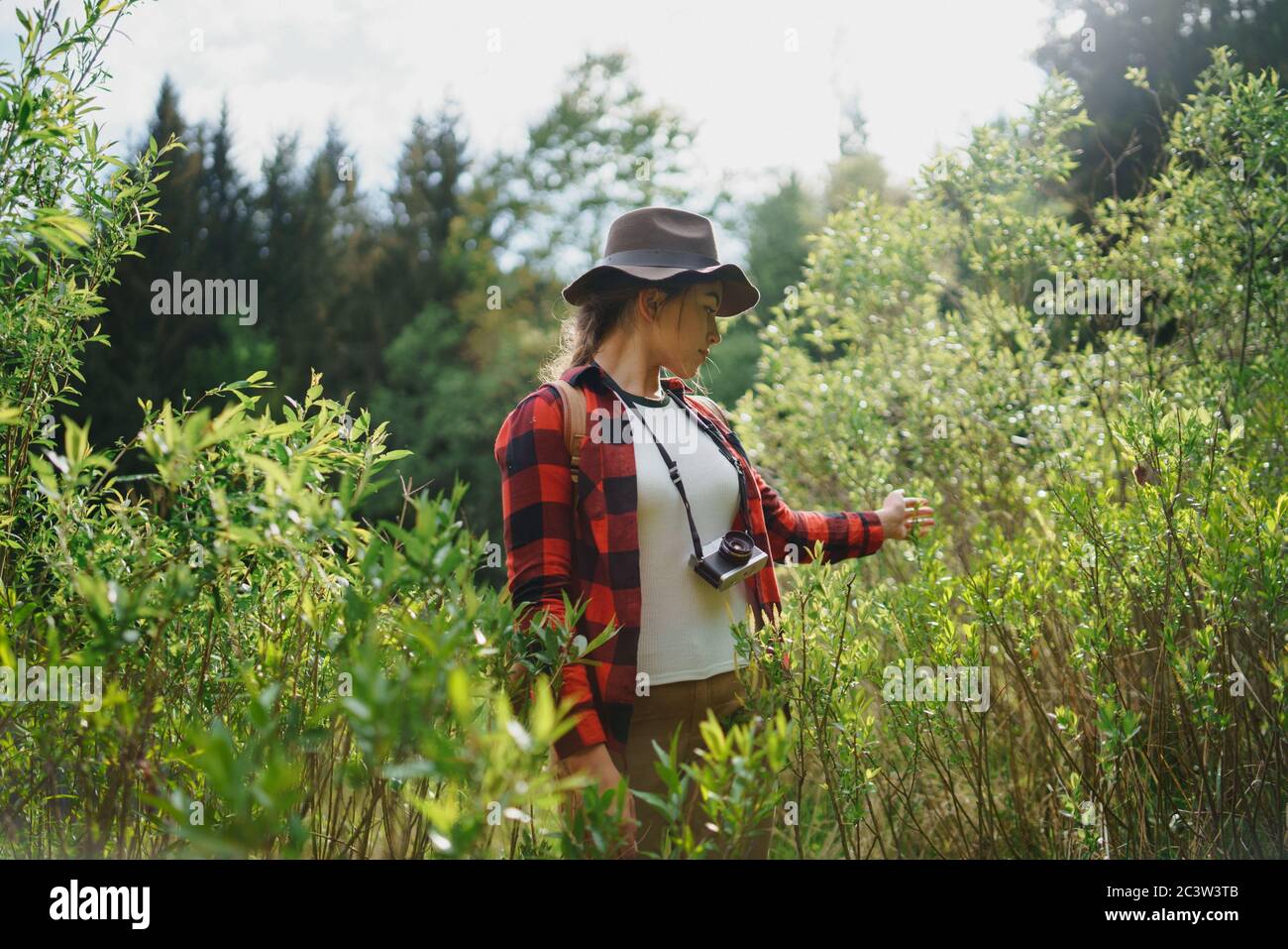 Junge Frau mit Kamera auf einem Spaziergang im Wald in der Sommernatur. Stockfoto
