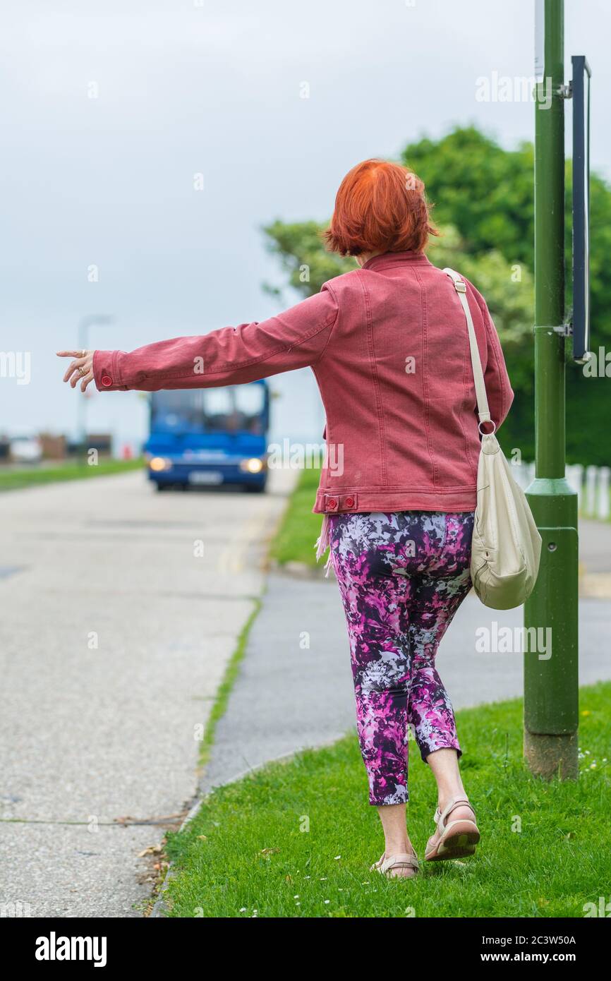 Ältere Frau an einer Bushaltestelle mit einem Bus in England, Großbritannien. Älterer Rentner, der einen Bus hält. Nehmen Sie einen Bus an einer Haltestelle. Stockfoto