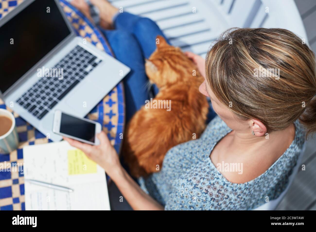 Overhead-Aufnahme Der Frau, Die Von Zu Hause Aus Auf Laptop Im Freien Im Garten Während Lockdown Streicheleinheiten Haustier Katze Stockfoto