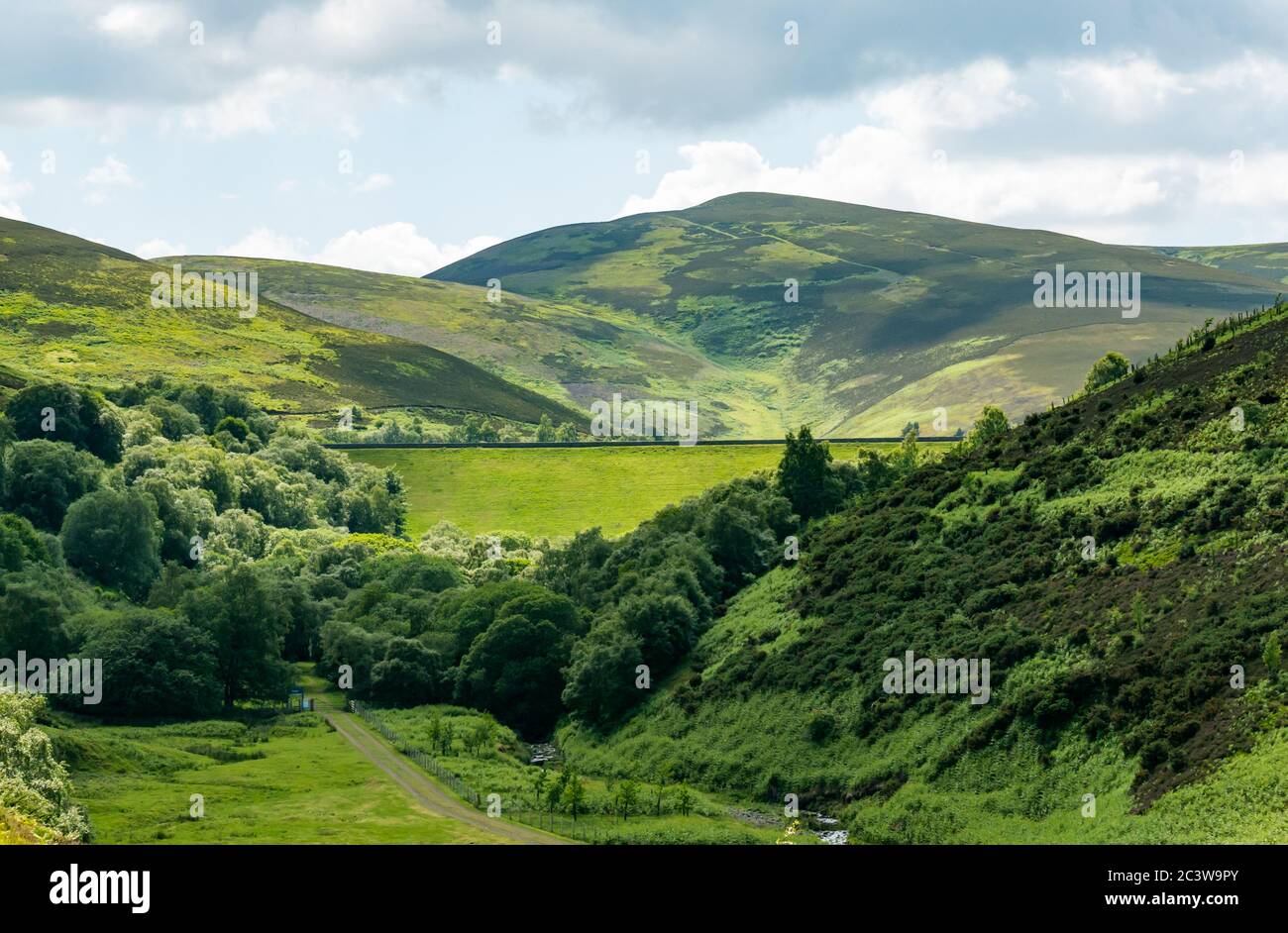 Blick auf Grassbank Damm im Tal, Hopes Reservoir, Lammermuir Hills, East Lothian, Schottland, Großbritannien Stockfoto