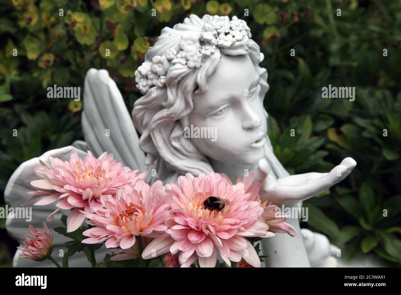 Eine Biene sammelt Pollen im Schatten eines Engels oder einer Fee, die einen Kuss bläst Stockfoto