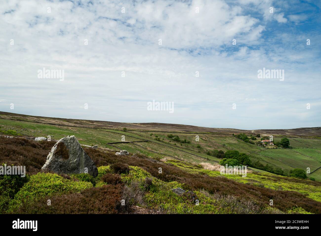 North York Moors mit prominenter Heide, Bäumen, Feldern, Heidekraut und Gräsern unter blauem, bewölktem Himmel im Frühling in Glaisdale, Yorkshire, Großbritannien. Stockfoto
