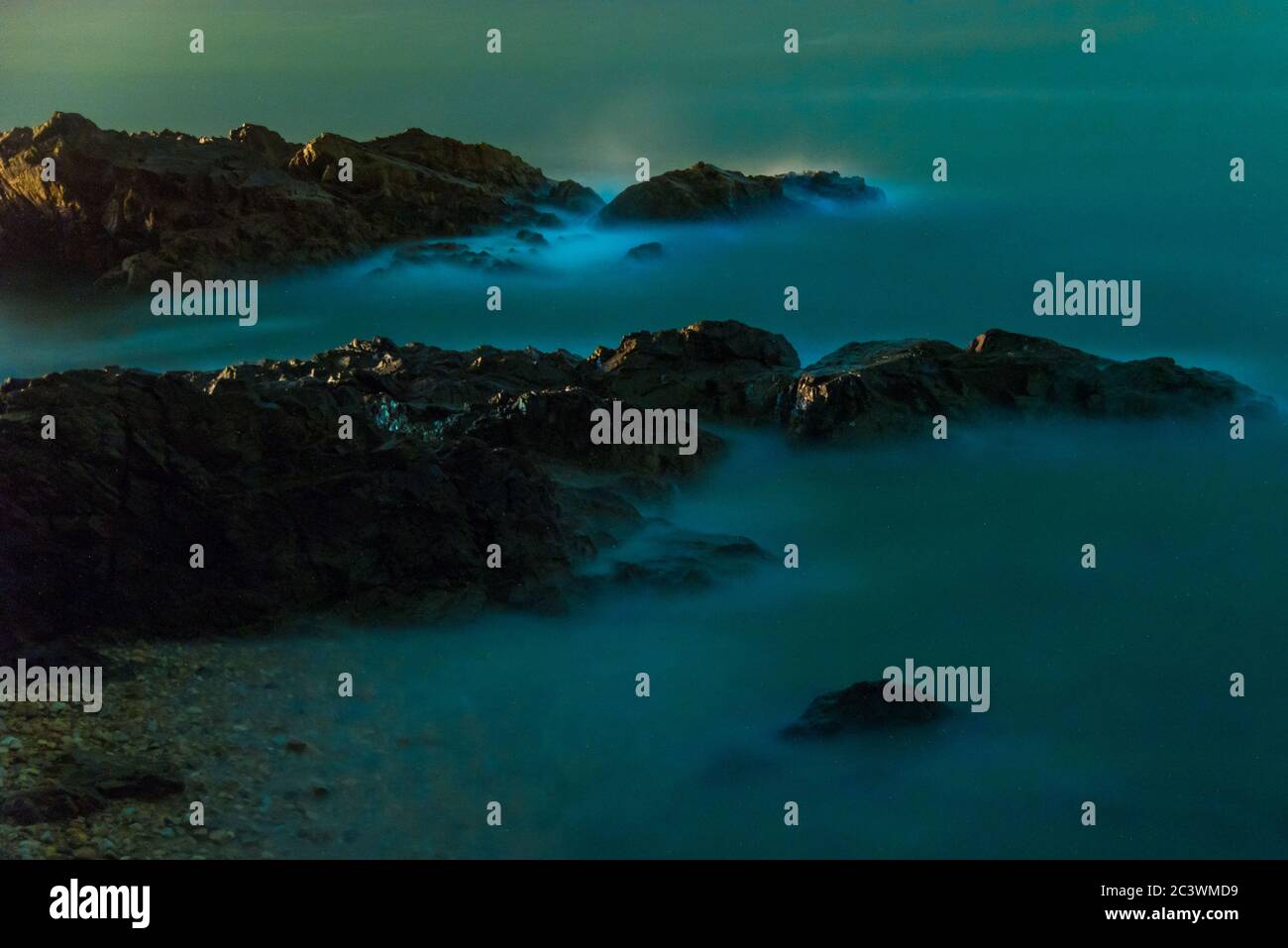 Bio-Lumineszenz. Beleuchtung von Plankton bei Matsu. Viele helle Teilchen am Strand.Blaue Tränen in Beigan, Matsu, Taiwan Stockfoto