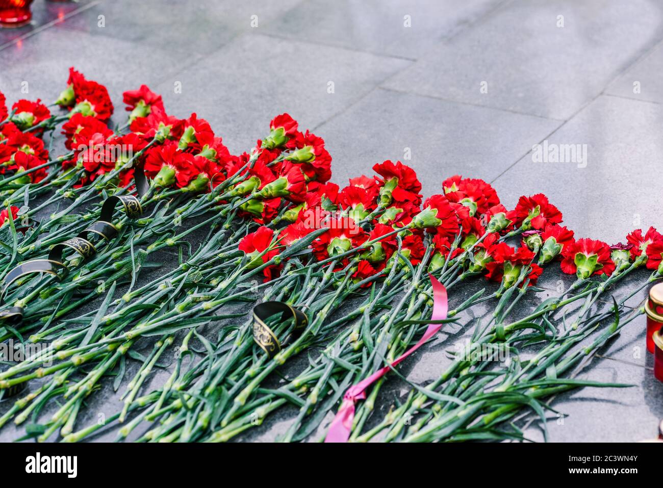 Rote Nelken auf einer Marmorplatte. Symbol der Trauer, Blumenauflegung an der Gedenkstätte Stockfoto