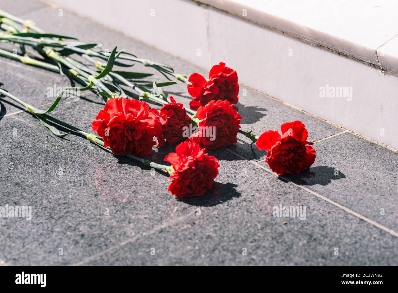 Nelken auf einer Marmorplatte Nahaufnahme. Blumen legen. Tag der Erinnerung und Trauer. Stockfoto