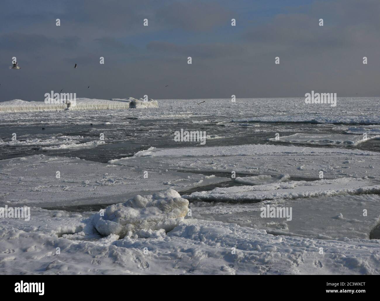 Winter Schwarzes Meer im Eis unter den Schneewolken. Stockfoto