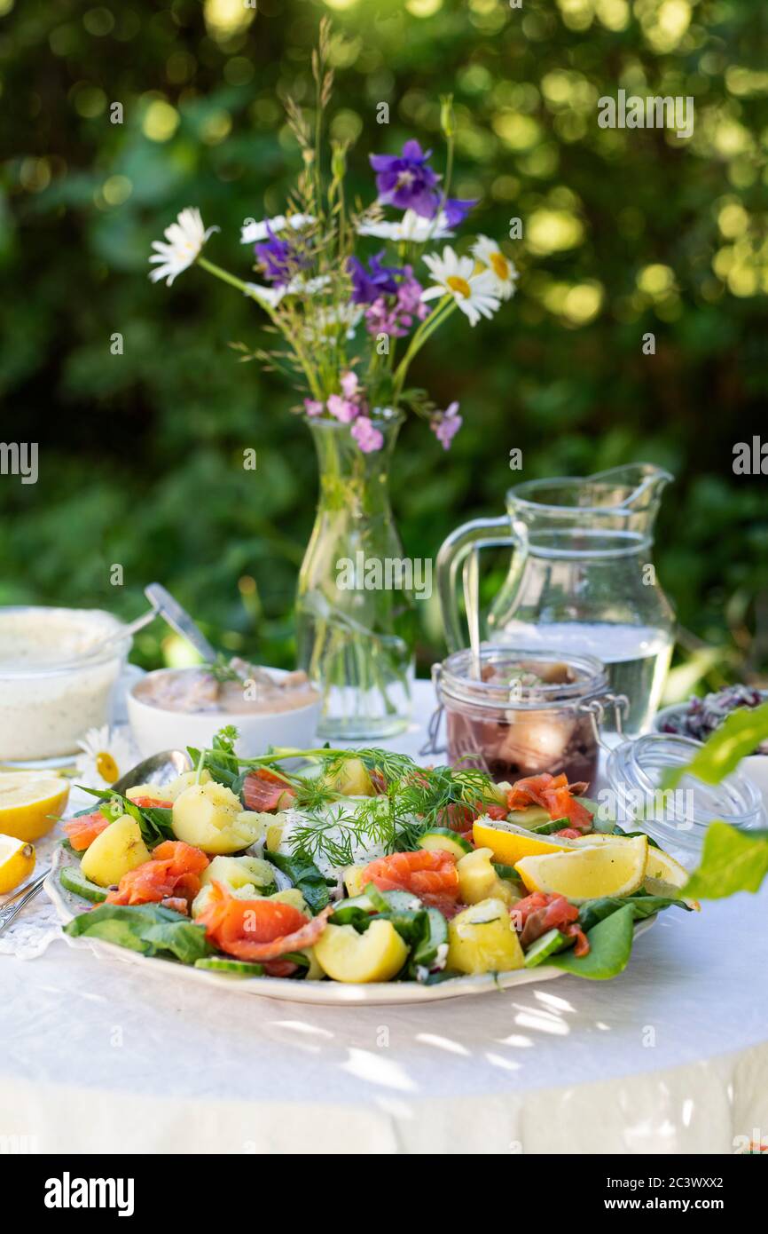 Skandinavischer Lachssalat Mittsommer Sonnenwende traditionelle Speisen Buffet im Freien,. Der Salat ist mit geräuchertem Lachs, neuen gekochten Kartoffeln, frischem Spin Stockfoto