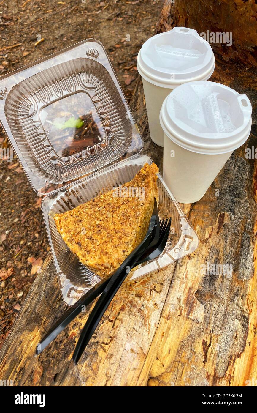 Stück Schokoladennusskuchen und zwei Pappbecher mit Kaffee bei einem Picknick im Wald. Dessert für zwei Personen im Take-away-Behälter. Stockfoto