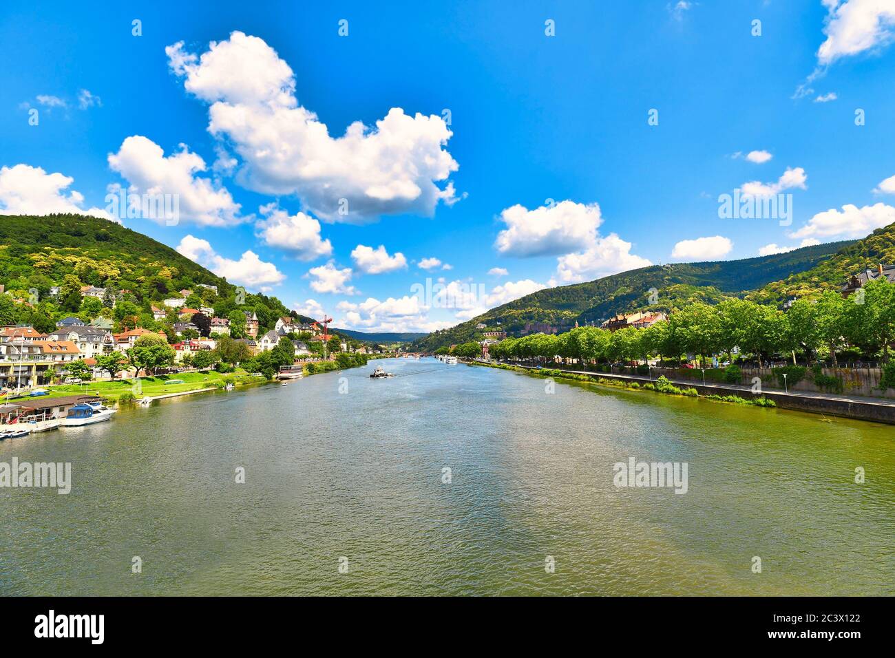 Blick über den Heidelberger neckar mit alten historischen Gebäuden und den Odenwald im Sommer Stockfoto