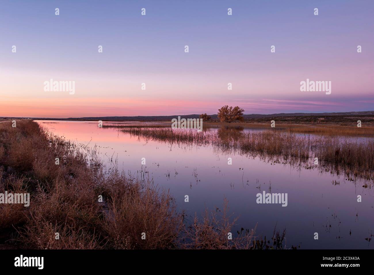 Teich am frühen Morgen, Bosque Del Apache National Wildlife Refuge, New Mexiko USA Stockfoto