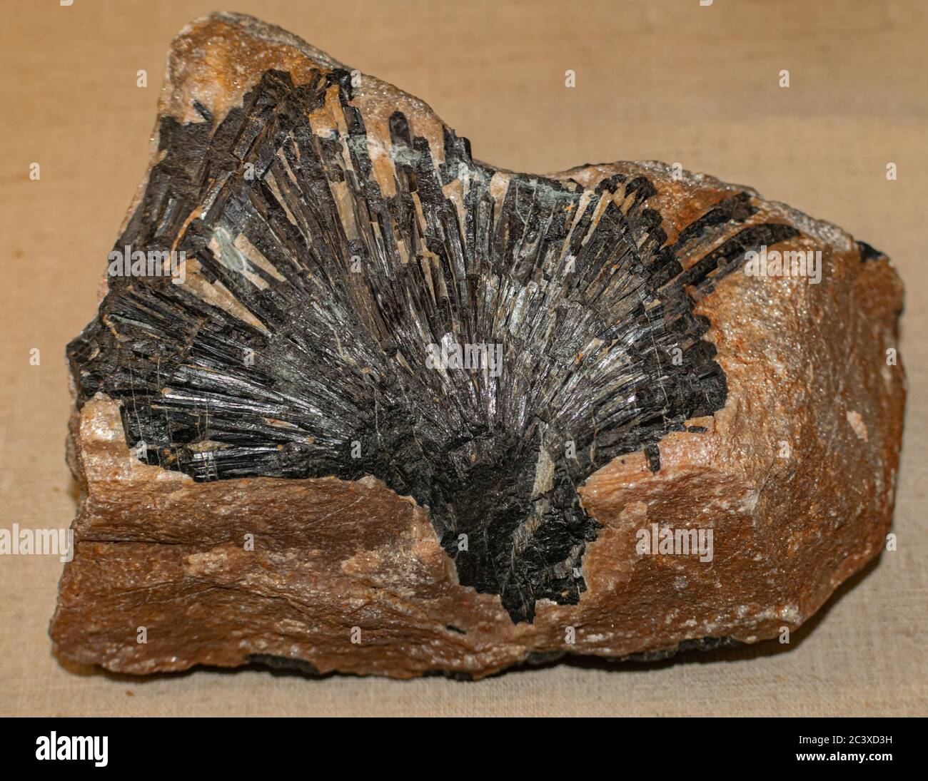 Schorl, Eisen-Turmalin, kristallines Bor-Silikat-Mineral, aus der Nähe Stockfoto