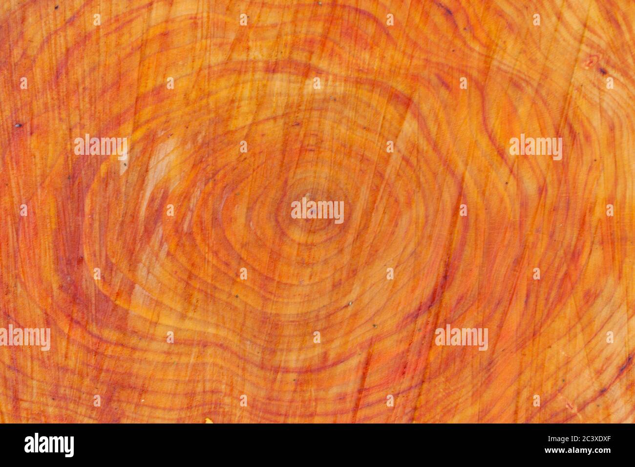 Rot-oranges Holz mit Jahresringen, Stamm der Schwarzen Erle Stockfoto