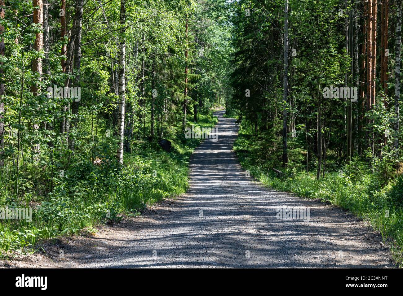Schotterstraße in der ländlichen Landschaft Finnlands Stockfoto
