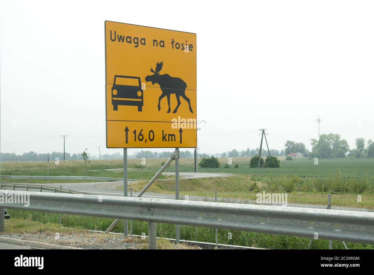 Elchüberquerung Zeichen in Polen. 12. Juni 2020 © Wojciech Strozyk / Alamy Stock Photo Stockfoto