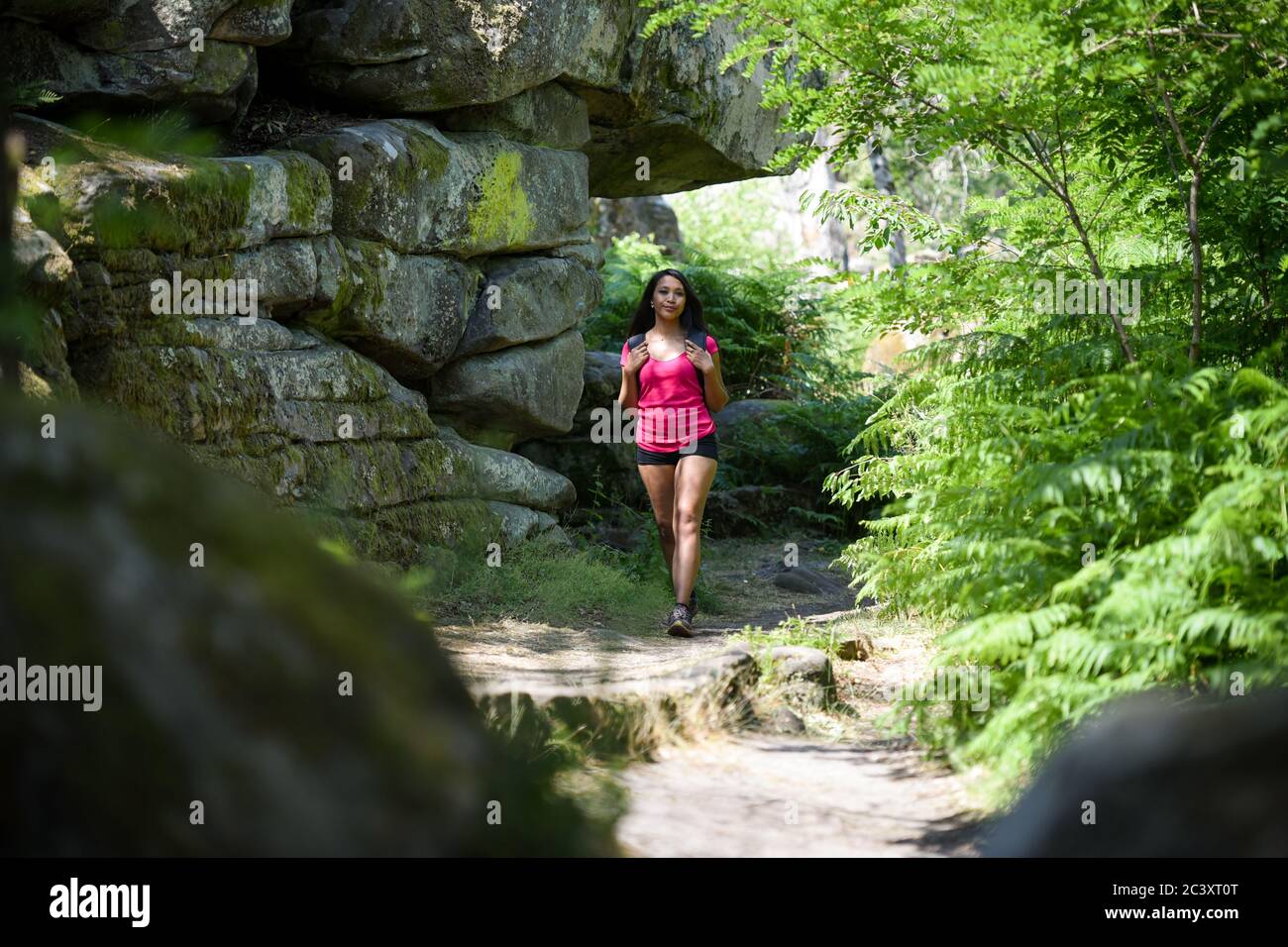 Schöne asiatische Frau Wandern in fontainebleau Wald Stockfoto