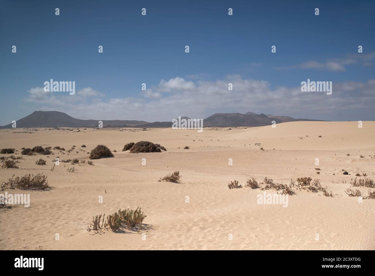 Küstenwüstenlandschaft von Sotavento de Jadia in Fuerteventura mit Sanddüne Stockfoto