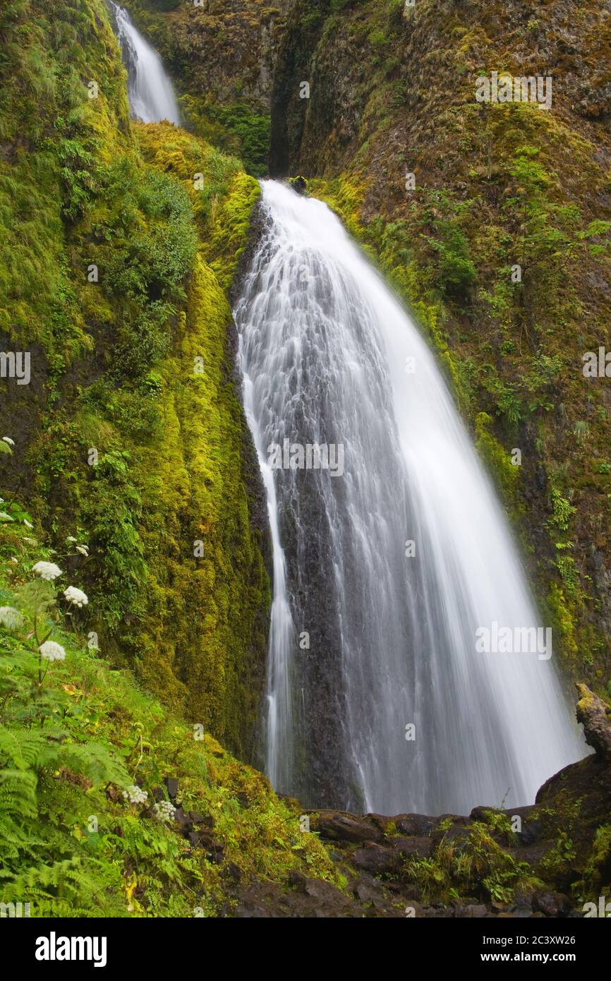 Wahkeena verliebt sich in die Columbia River Gorge, größere Portland Region, Oregon, USA Stockfoto