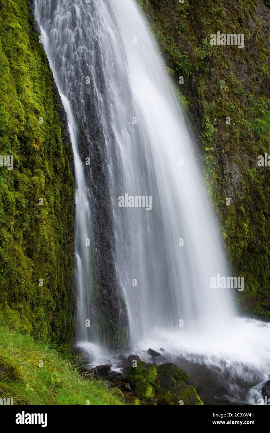 Wahkeena verliebt sich in die Columbia River Gorge, größere Portland Region, Oregon, USA Stockfoto
