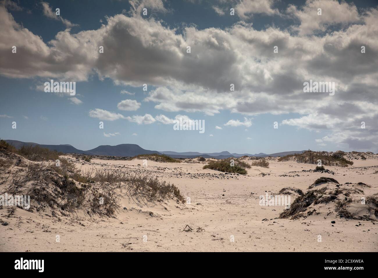 Küstenwüstenlandschaft von Sotavento de Jadia in Fuerteventura mit Sanddüne Stockfoto