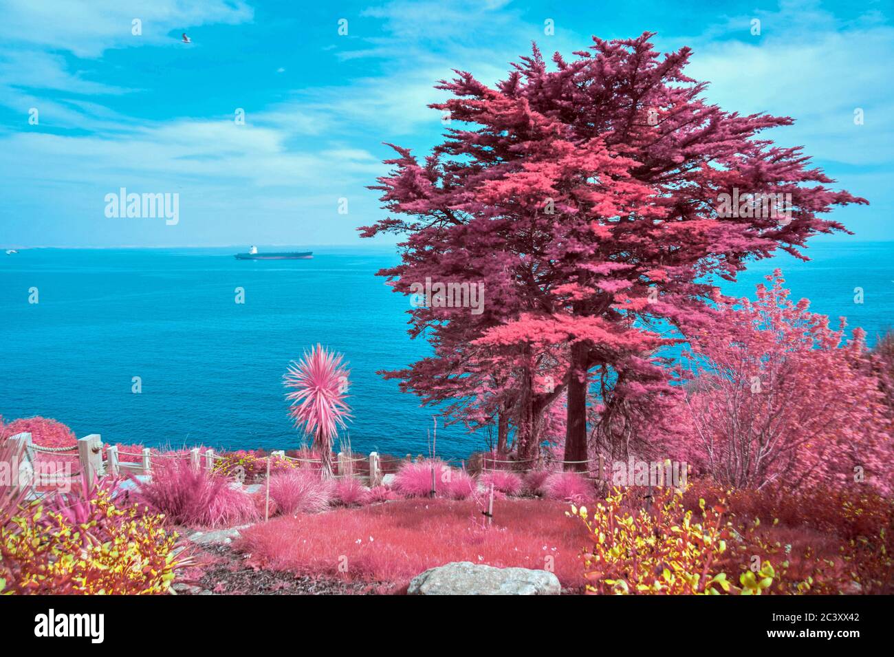 Szene aus dem Southwest Coast Path, Cornwall UK Stockfoto