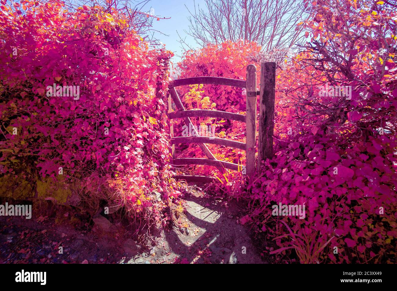 Gateway in der Nähe von Kenneggy Sands, Cornwall, Großbritannien Stockfoto