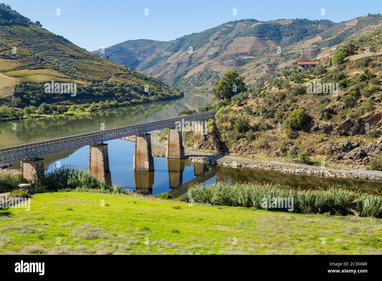 Landschaftlich reizvolle Aussicht auf das Douro-Tal und den Fluss mit terrassenförmig angelegten Weinbergen in der Nähe des Dorfes Tua, Portugal Stockfoto
