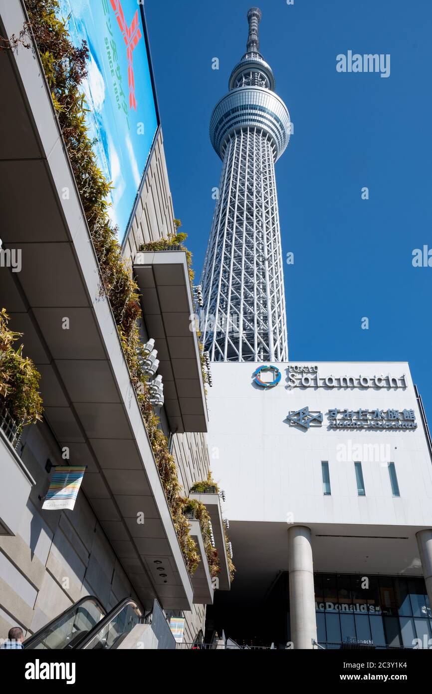 Tokyo Skytree Tower - Ansicht von unten. Tokio, Japan Stockfoto