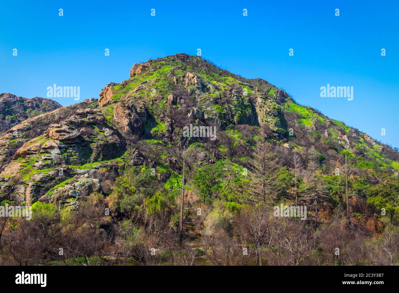 Malibu Creek State Park in den Santa Monica Mountains im Frühjahr 2019 Stockfoto