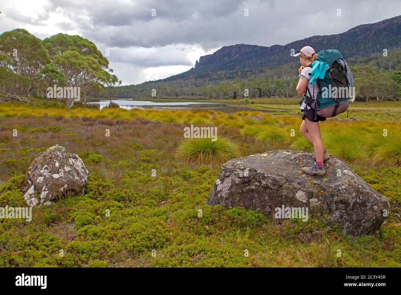 Wanderer mit Blick auf den Lake Ayr zum Mt Oakleigh Stockfoto