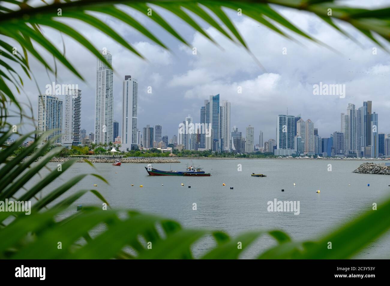 Panama City Panama City Skyline Blick eingerahmt von Palmblättern Stockfoto