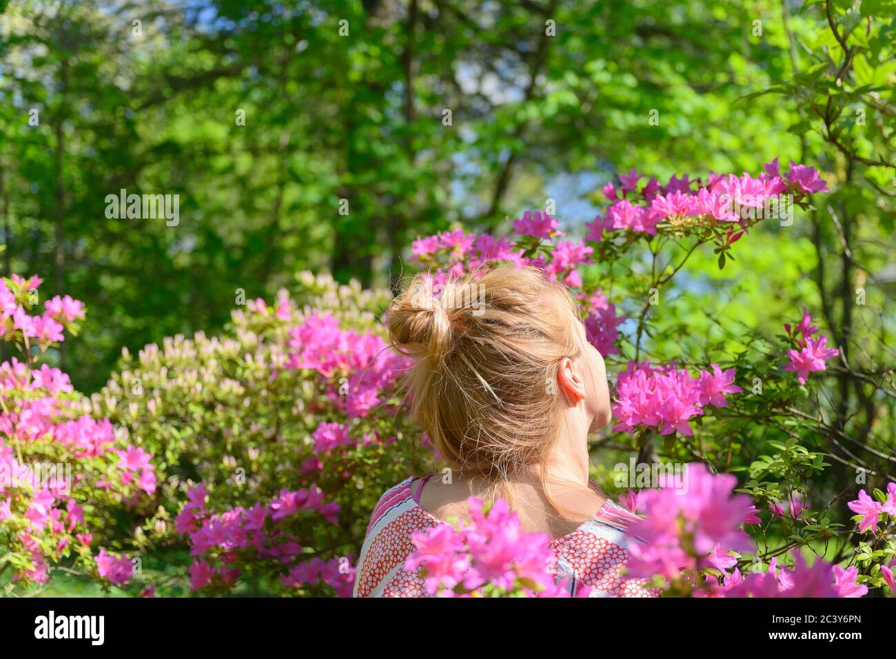 Frau riecht rosa Blumen Stockfoto