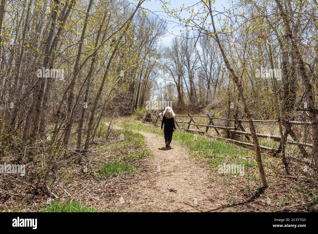 USA, Idaho, Bellevue, Senior Woman Walking entlang ländlicher Weg Stockfoto