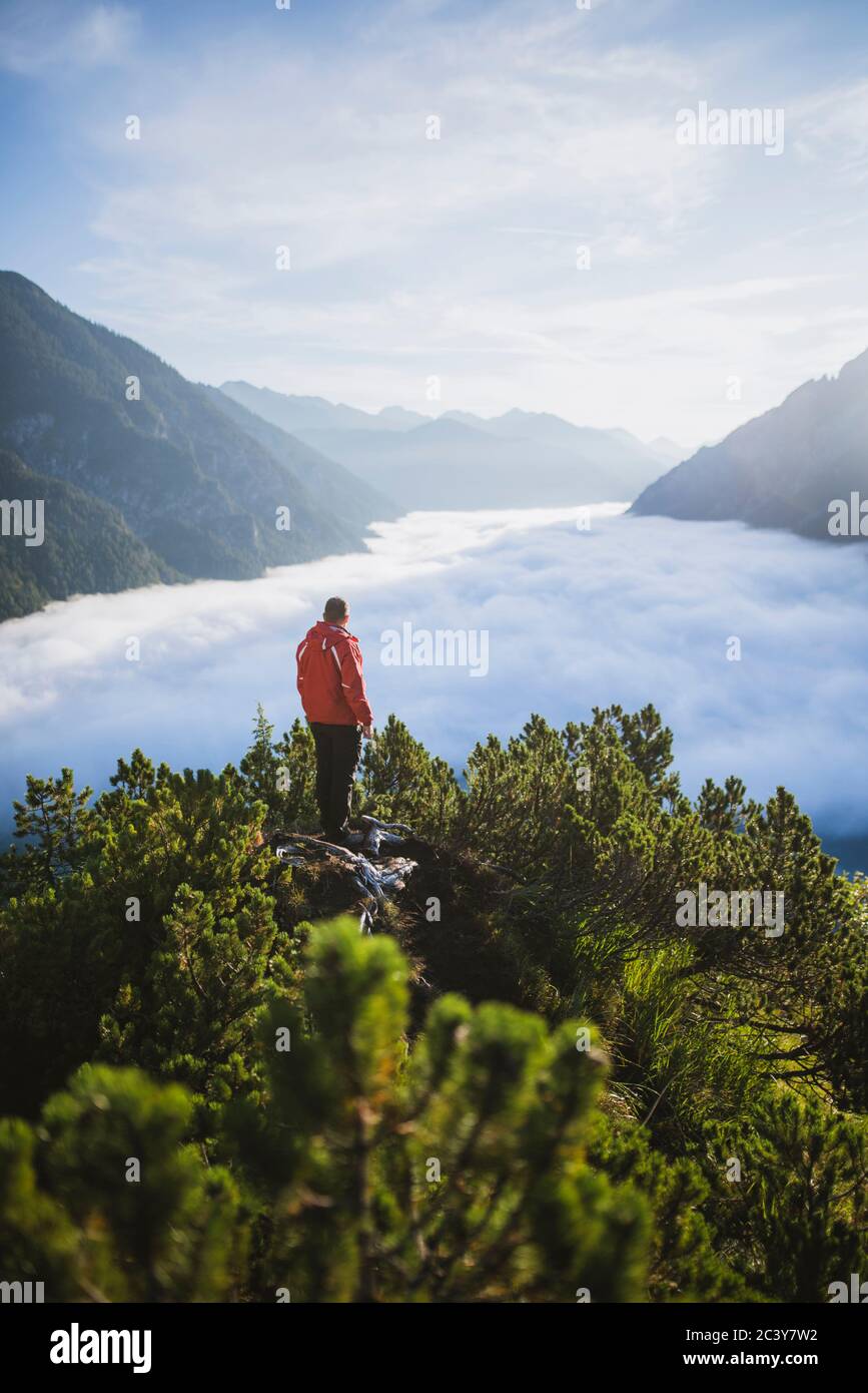 Österreich, Plansee, Mann in Bäumen über Tal in Wolken in österreichischen Alpen Stockfoto