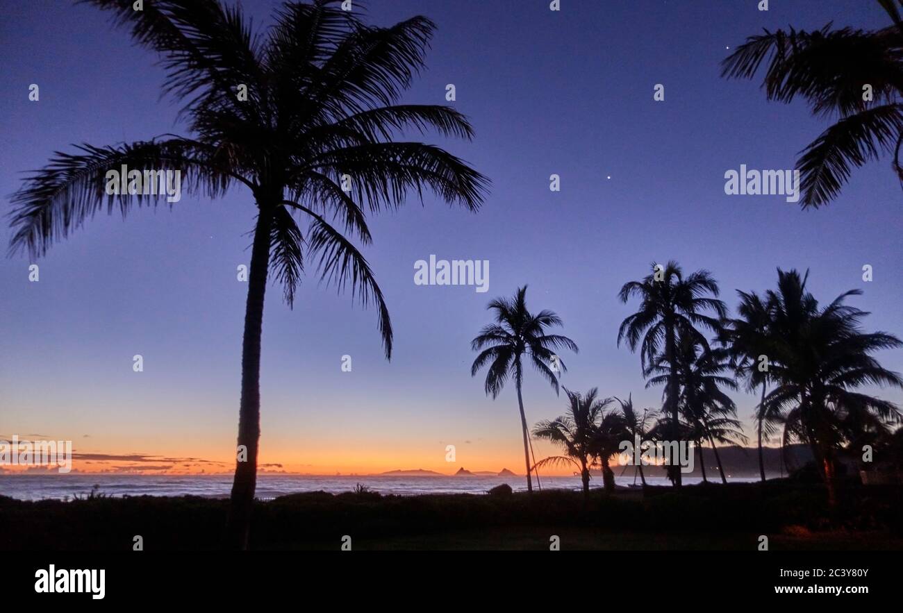 USA, Hawaii, O'ahu, Kailua Beach, Silhouette von Palmen bei Sonnenuntergang Stockfoto