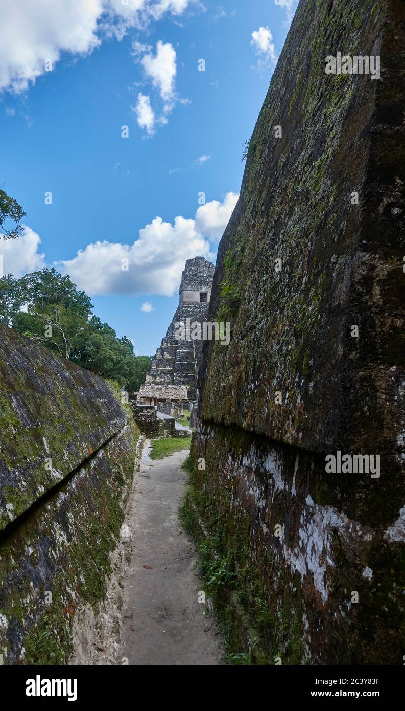 Guatamala, Tikal, Blick auf die Maya-Pyramide Stockfoto