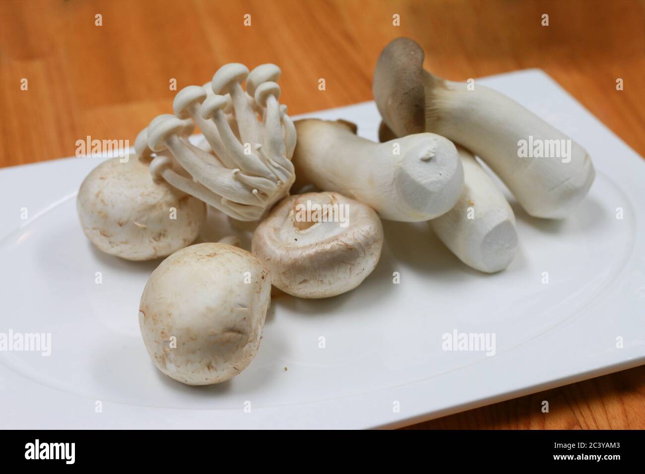 Verschiedene Arten von Pilzen bereit zu kochen. Pilze Art Zutaten Kochen auf einem weißen Teller. Stockfoto