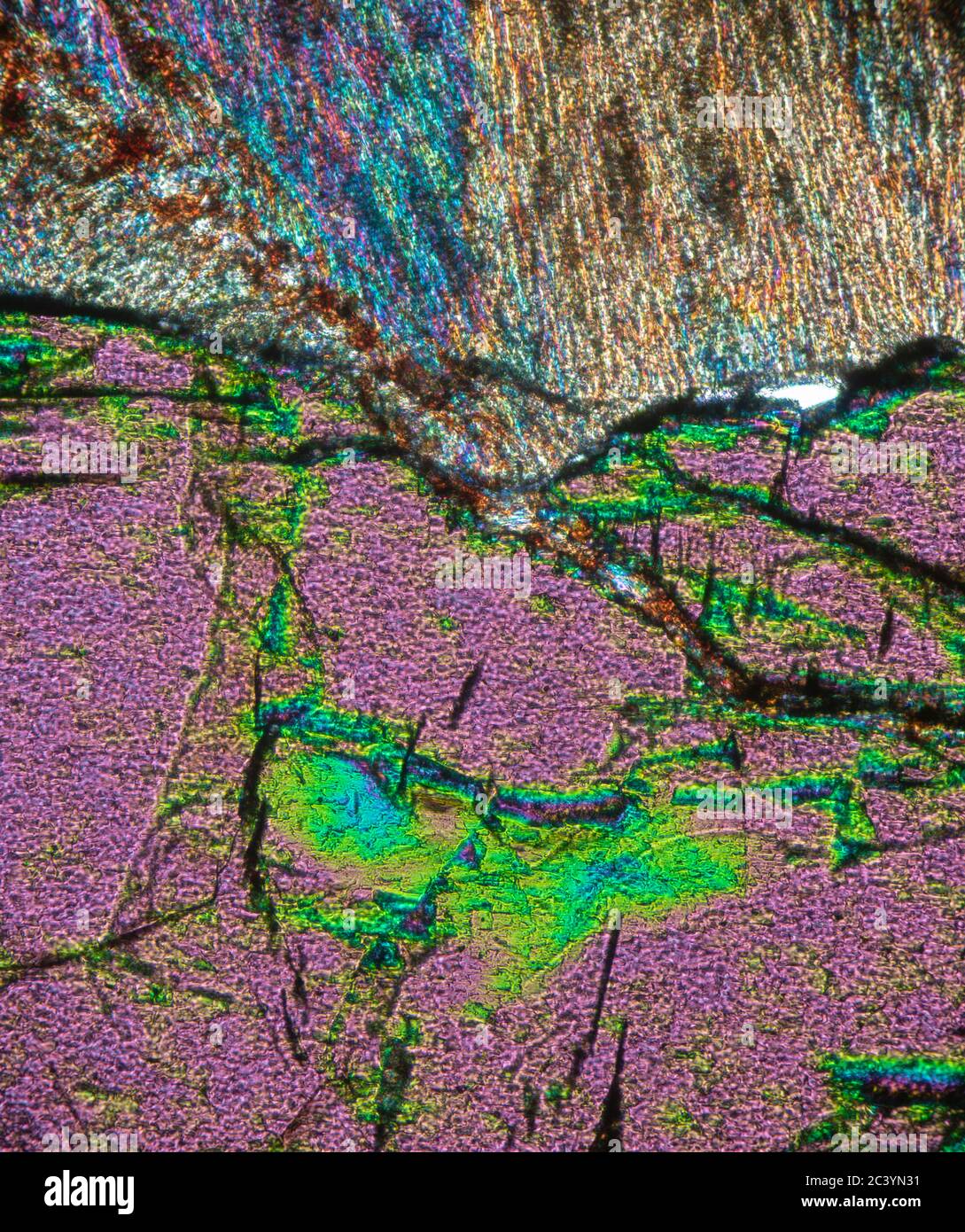 Aegirin, geologische Probe im polarisierten Licht fotografiert, Mikroskop Ansicht Stockfoto