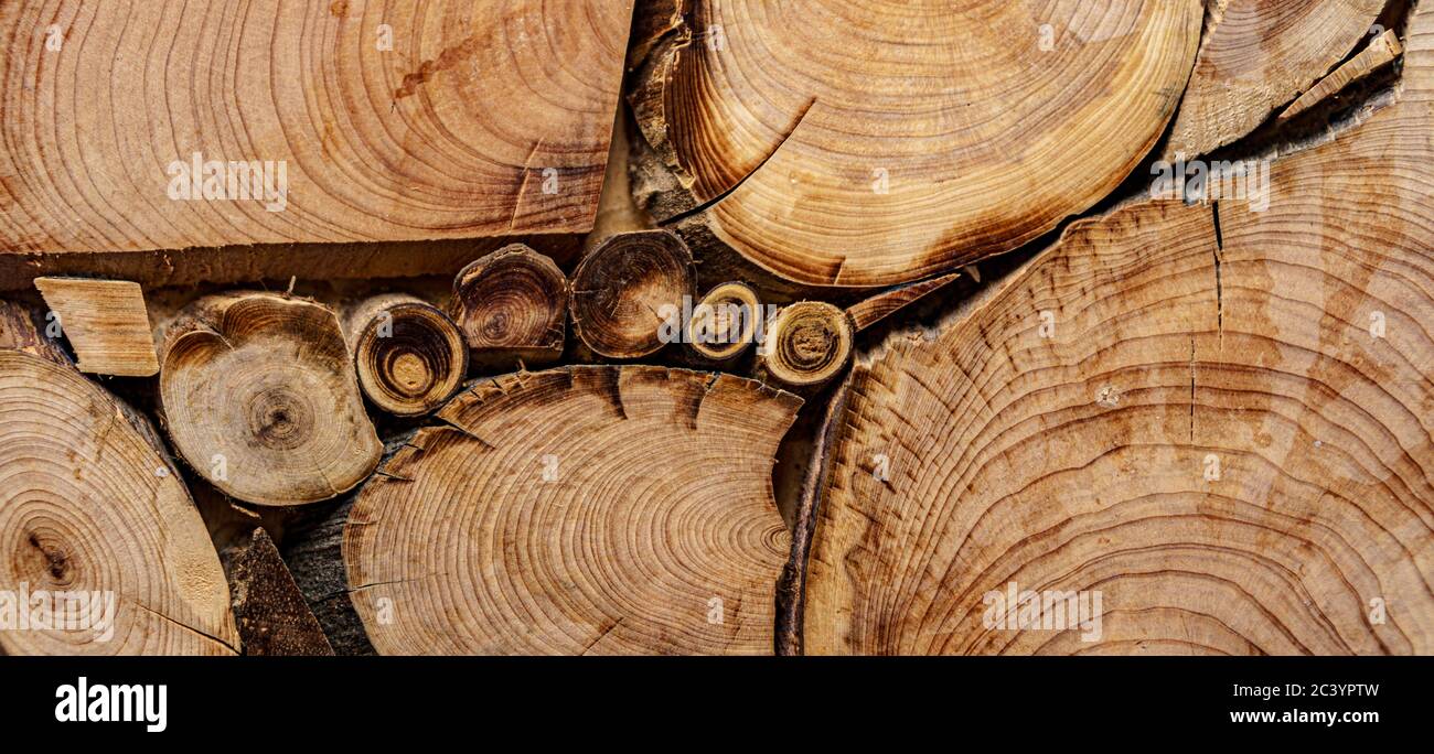 Bildschirmschoner, Hintergründe, Texturen, Holzbearbeitungskonzept - ein Holzhintergrund aus geschnittenen Baumstämmen unterschiedlicher Durchmesser in Form eines Stockfoto