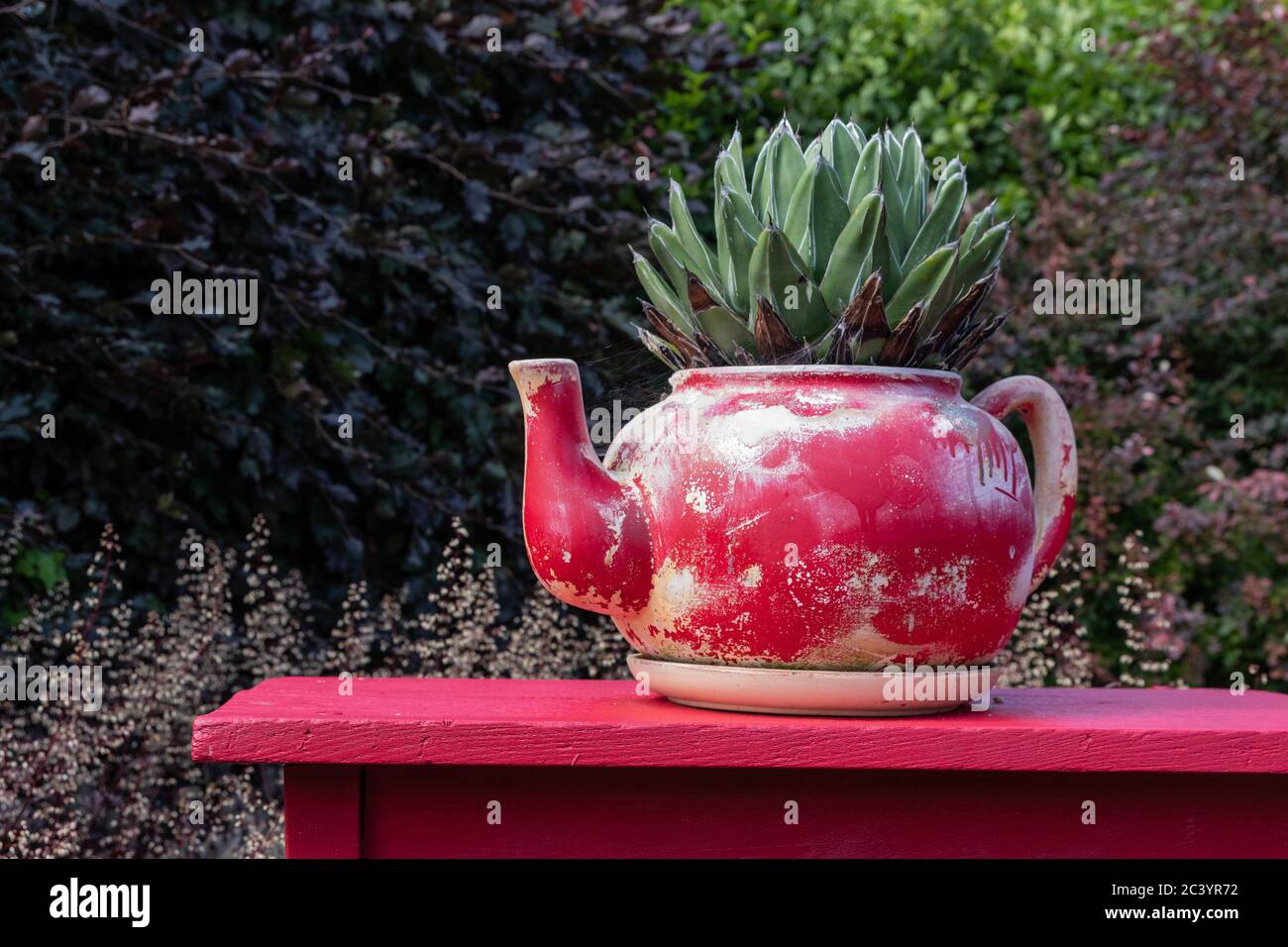 Die roten Studio Garten, eine Hommage an Henri Matisse; Eine von mehreren Themengärten an Kathy Brown's Garten, Stevington, Großbritannien Stockfoto