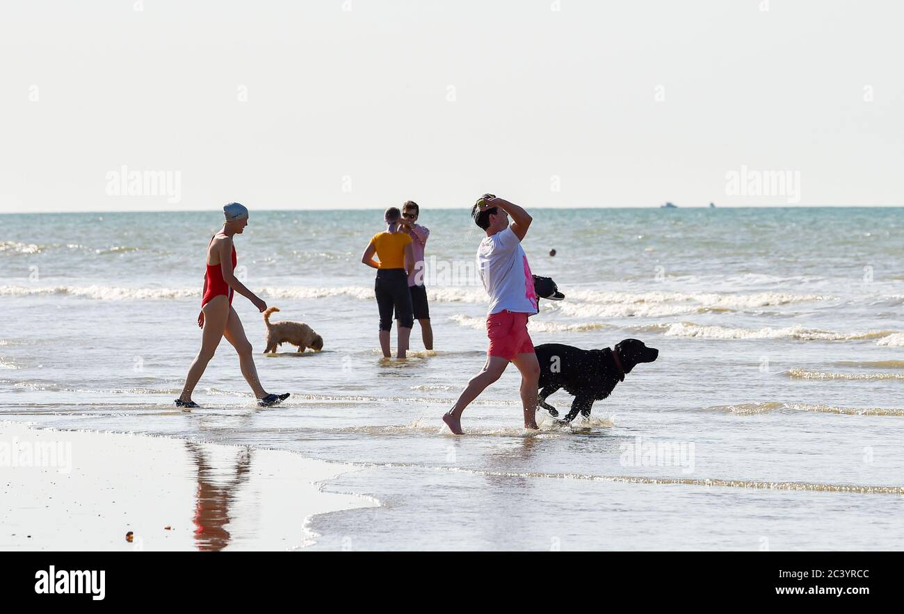 Brighton UK 23. Juni 2020 - am frühen Morgen Schwimmer und Wanderer genießen die schöne heiße Sonne am Brighton Strand und am Meer. Das Wetter wird in den nächsten Tagen noch wärmer, die Temperaturen werden voraussichtlich über 30 Grad in Teilen des Südostens erreichen : Credit Simon Dack / Alamy Live News Stockfoto