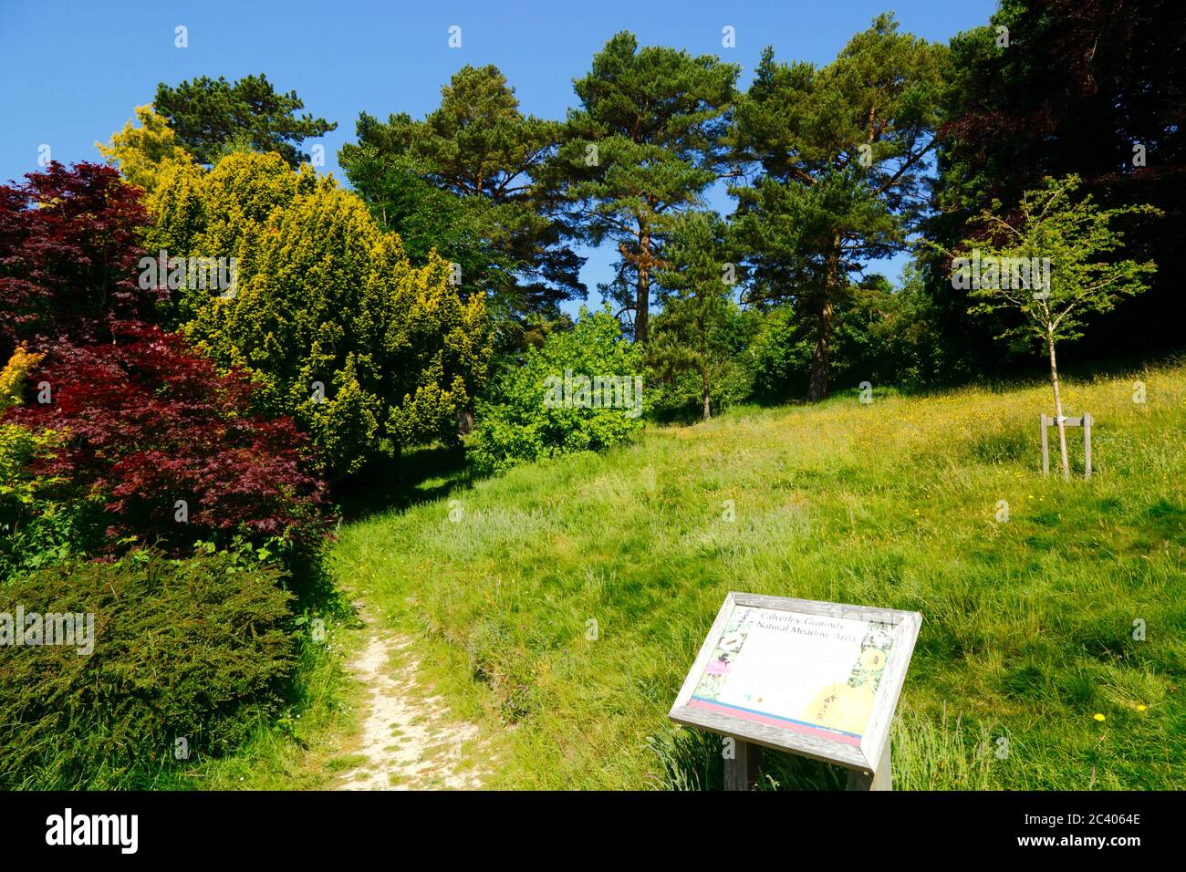 Schild beschreibt Naturwiesengebiet in Calverley Grounds, Royal Tunbridge Wells, Kent, England Stockfoto