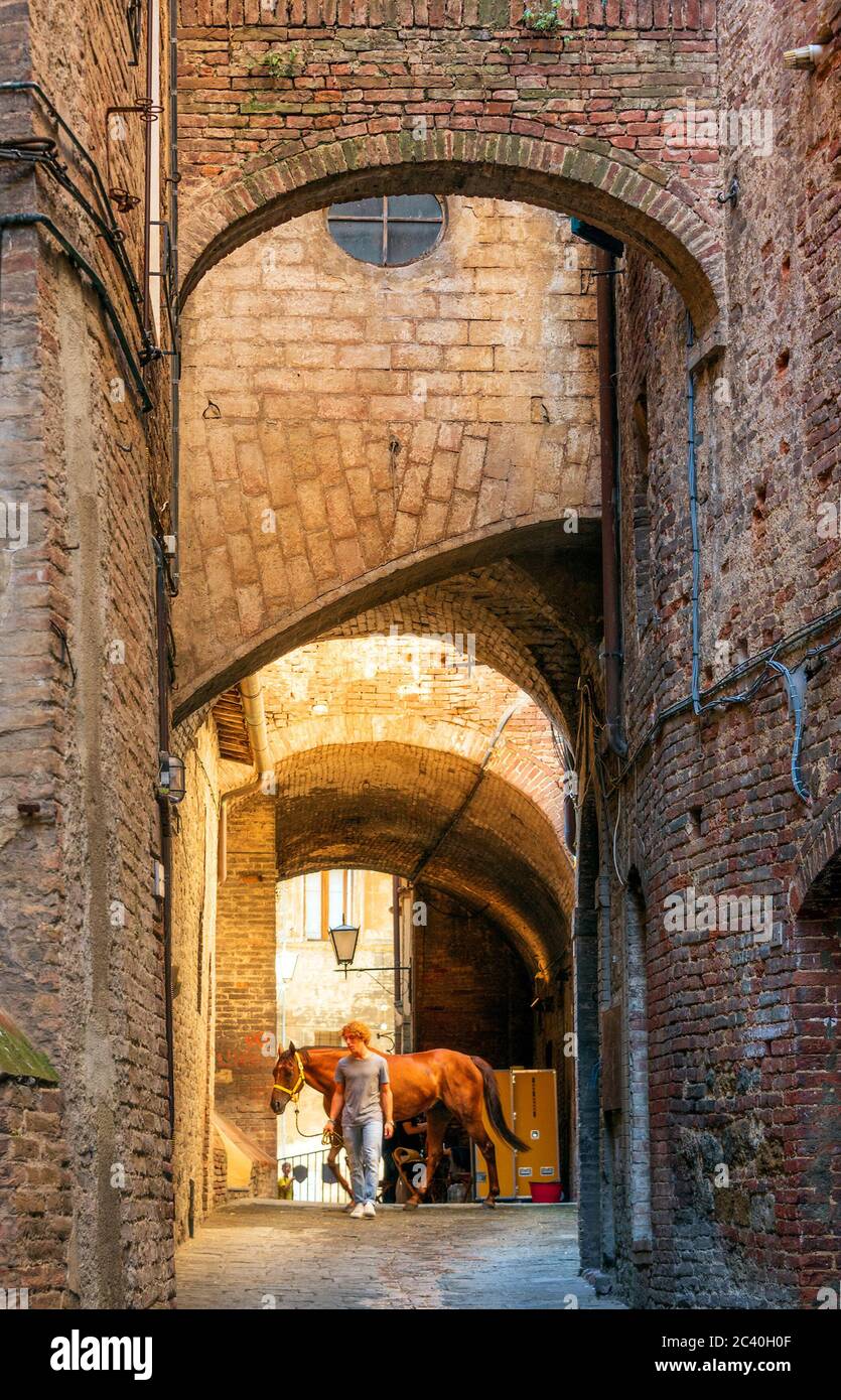 Während der Palio-Tage werden viele Gassen von Siena in Ställe für die Rennpferde verwandelt. Hier ist die Percennesi Gasse, im Herzen des Eagle's Distrikts Stockfoto