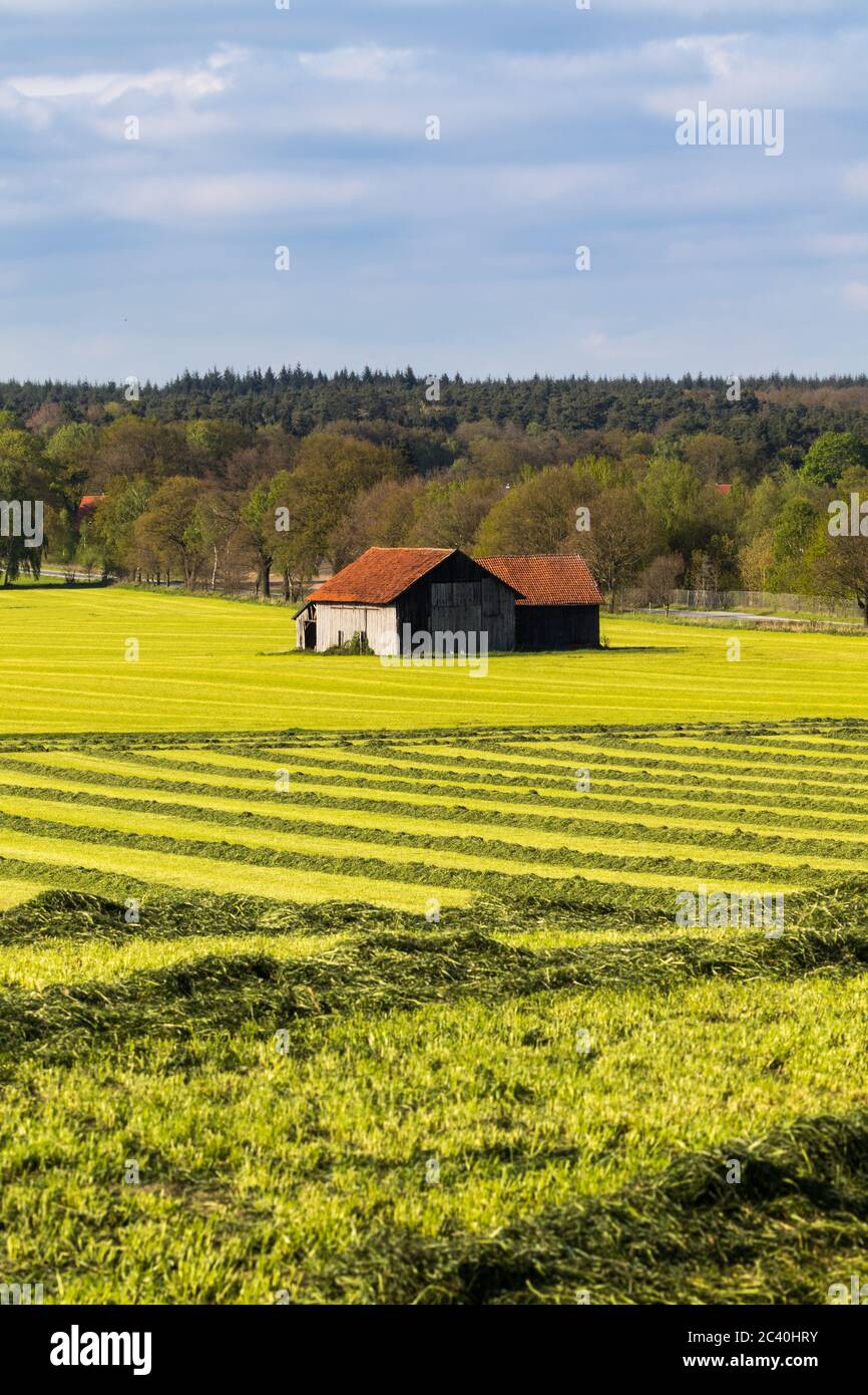 Deutsche Landwirtschaftliche Nutzfläche mit Scheune und Heu Stockfoto