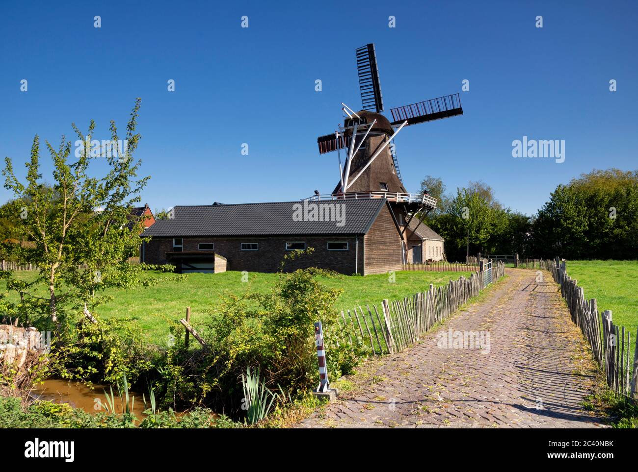 Windmühle in Surhuisterveen Stockfoto