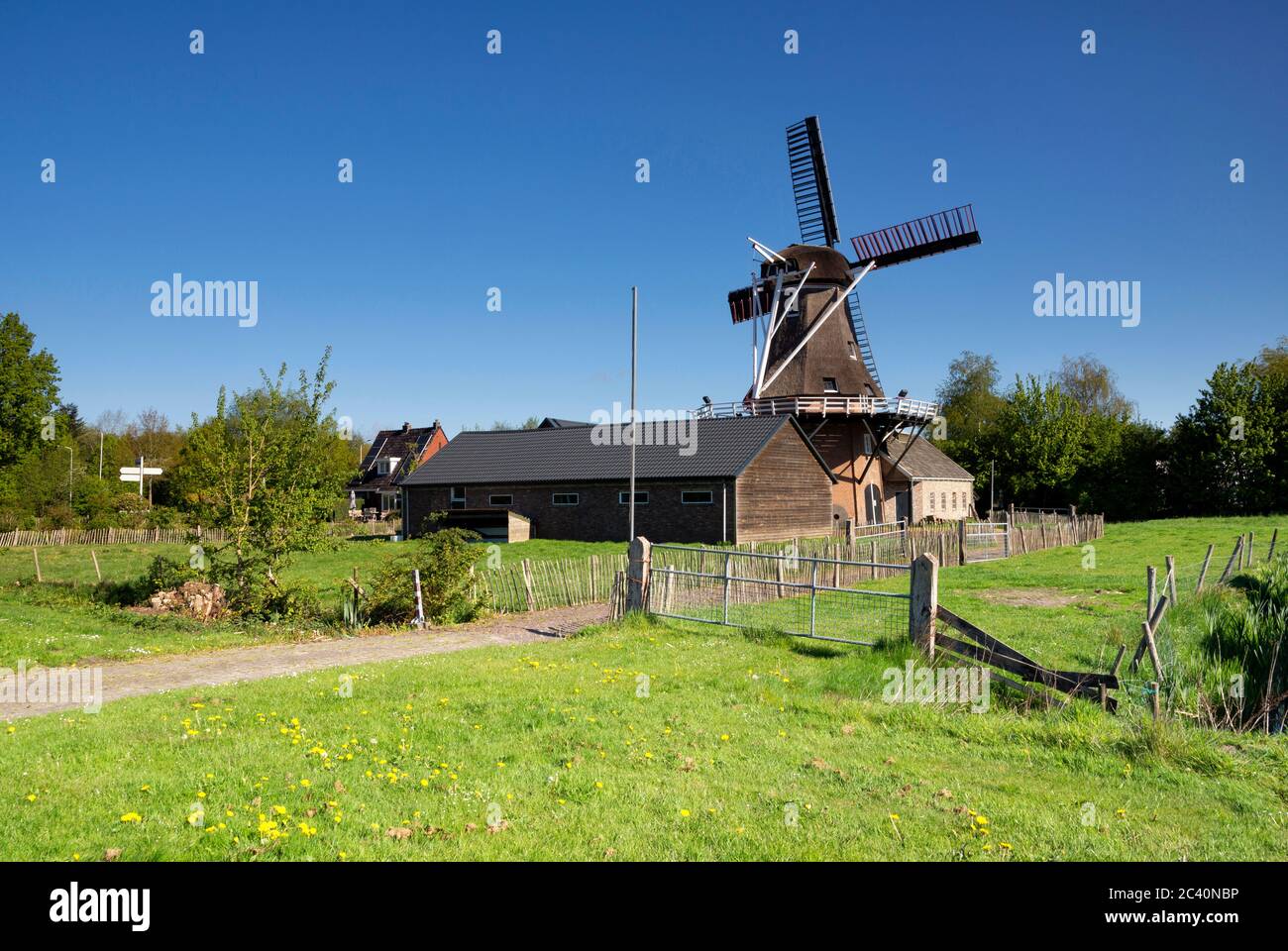 Windmühle in Surhuisterveen Stockfoto