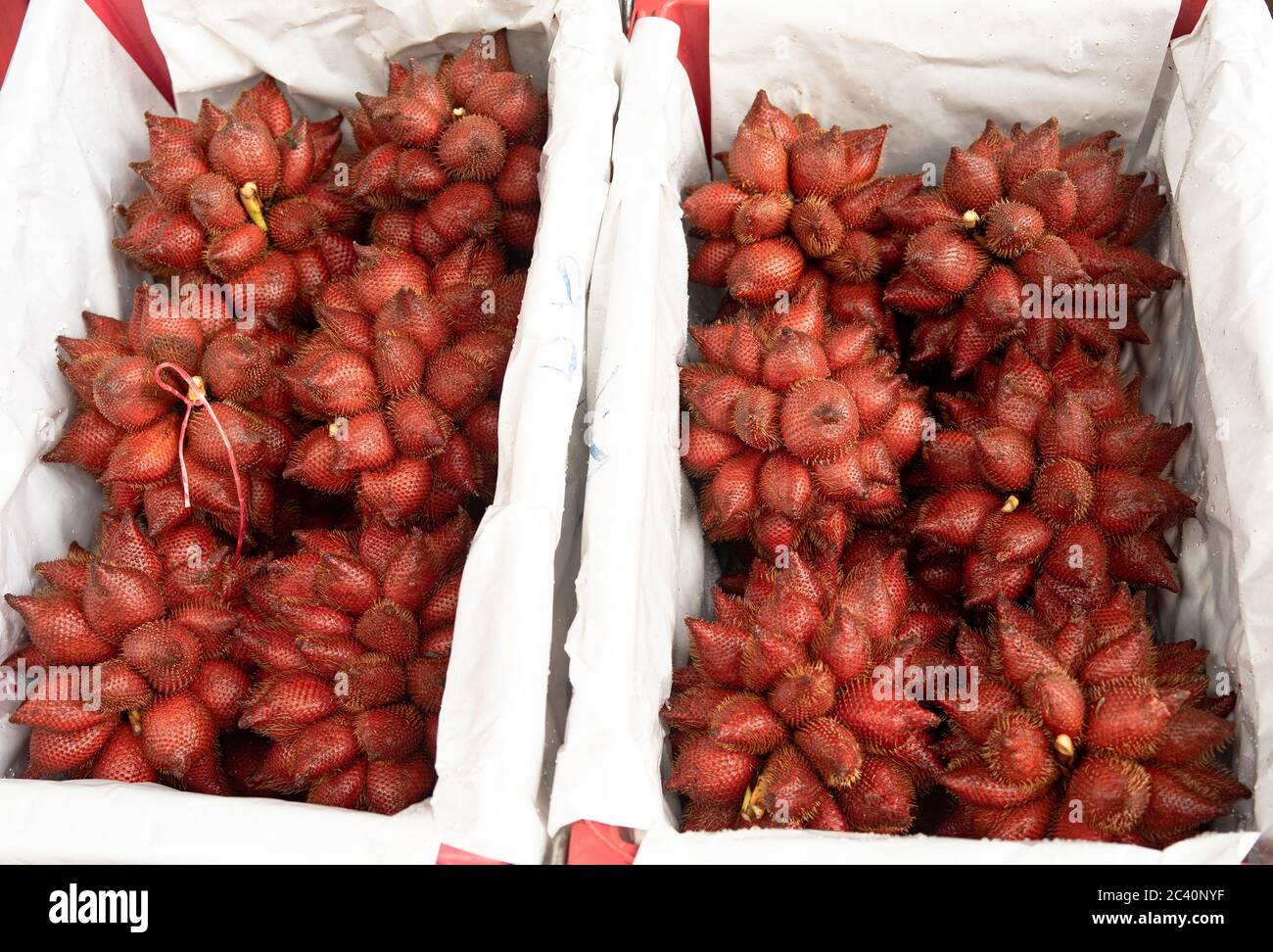 Thai Salak Früchte in der Box Stockfoto
