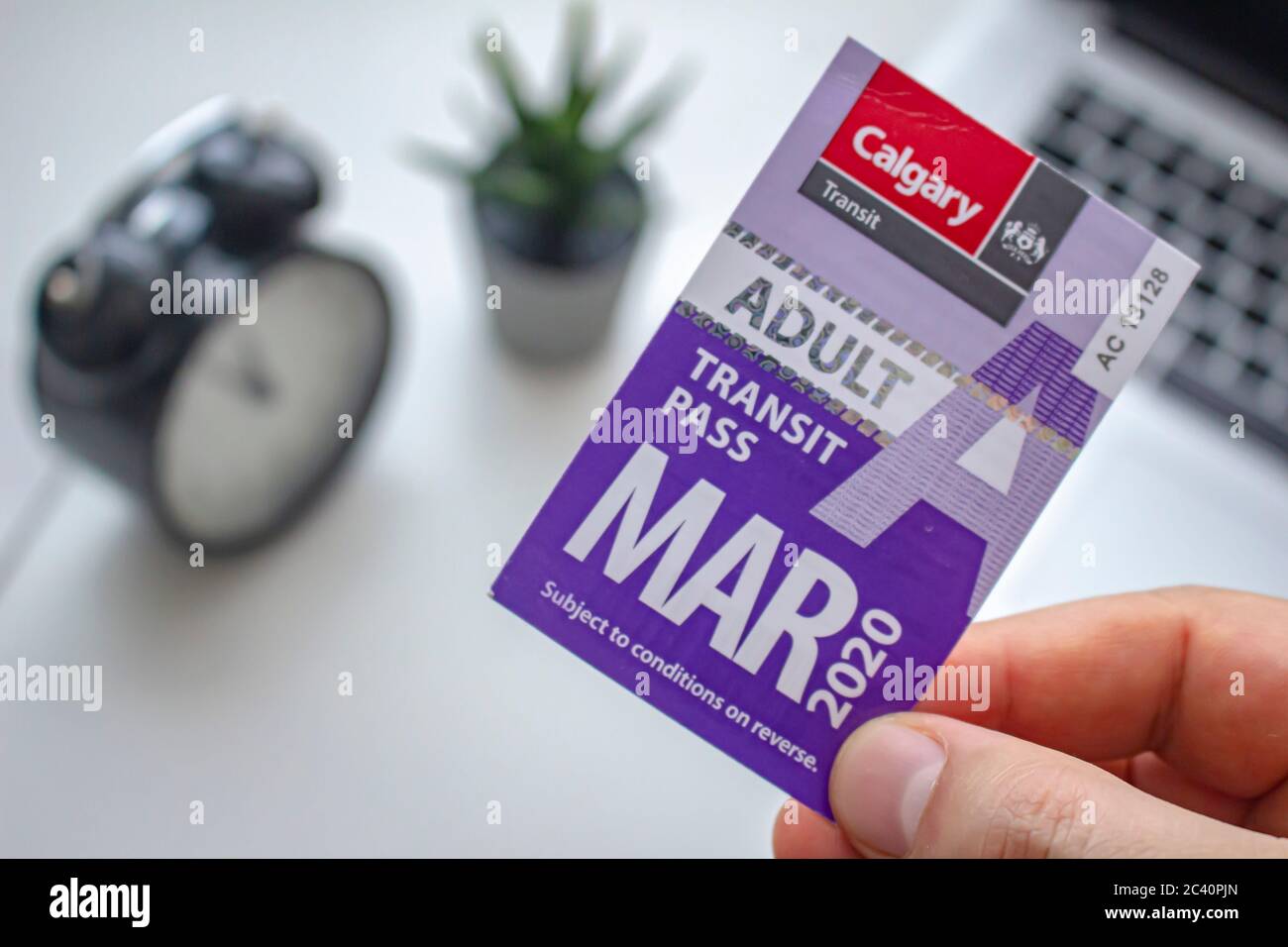 Calgary, Alberta, Kanada. Ein Erwachsener Transit Pass für den Monat März 2020 Stockfoto
