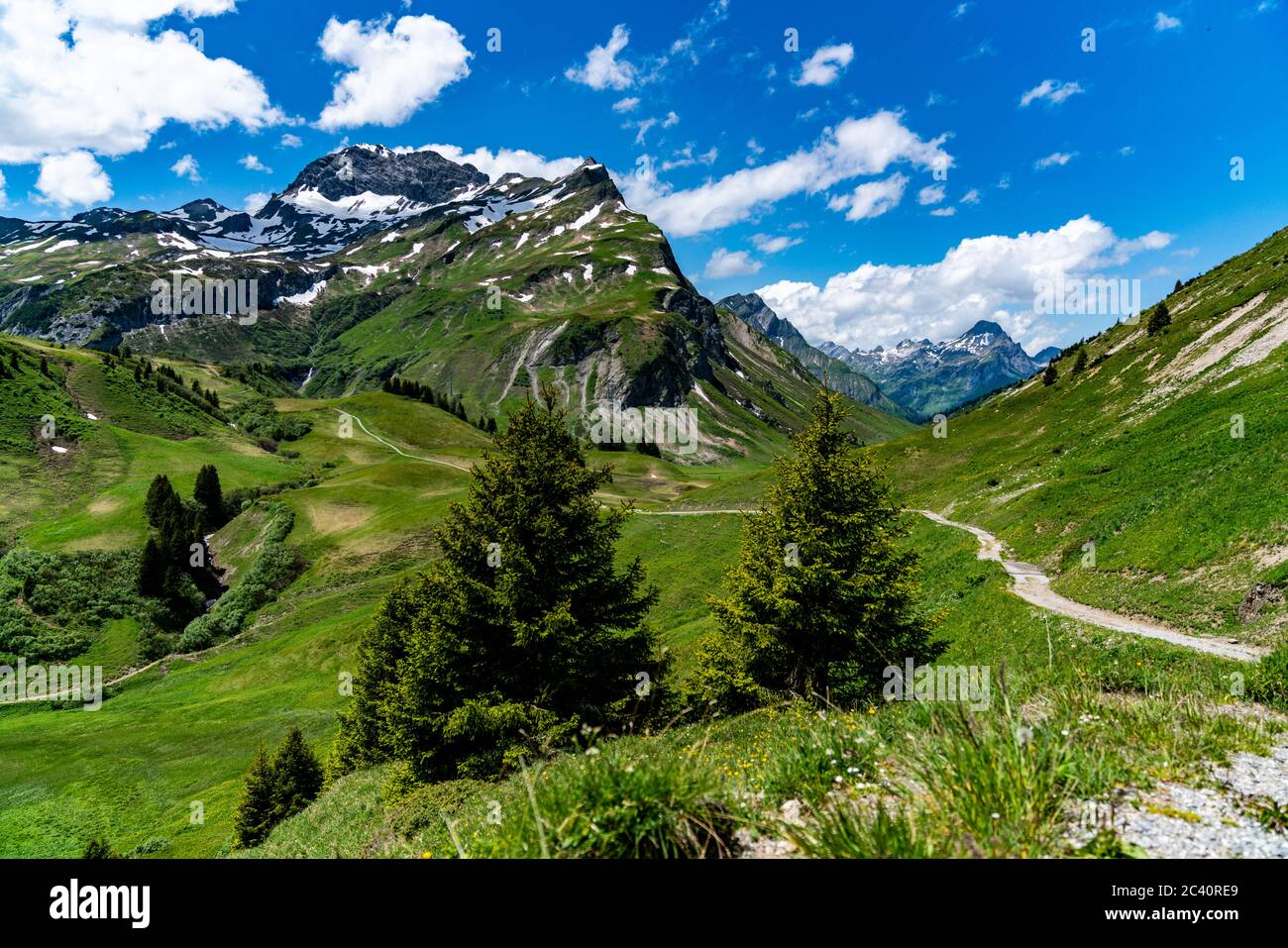 Bergwiese Blumen Stockfotos und -bilder Kaufen - Seite 2 - Alamy