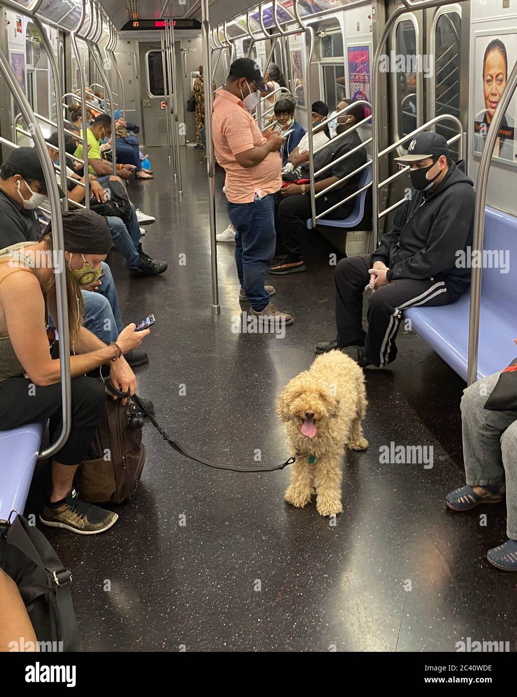 Menschen, die versuchen, soziale Distncing zu erhalten, wie U-Bahn-Züge beginnen, wieder in New York City zu füllen. Stockfoto